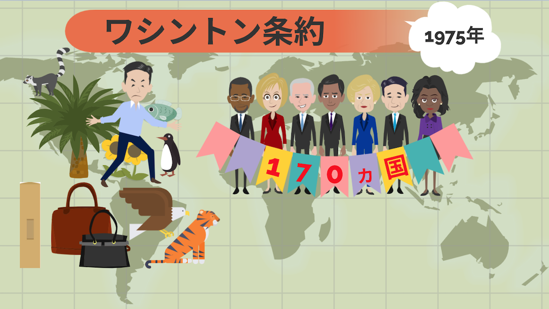 貿易における環境保護条約について ｜貿易コラム｜株式会社HPS CONNECT