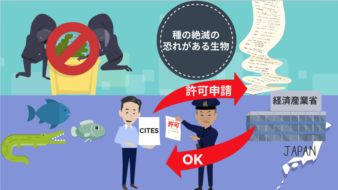 貿易における環境保護条約について ｜貿易コラム｜株式会社HPS CONNECT