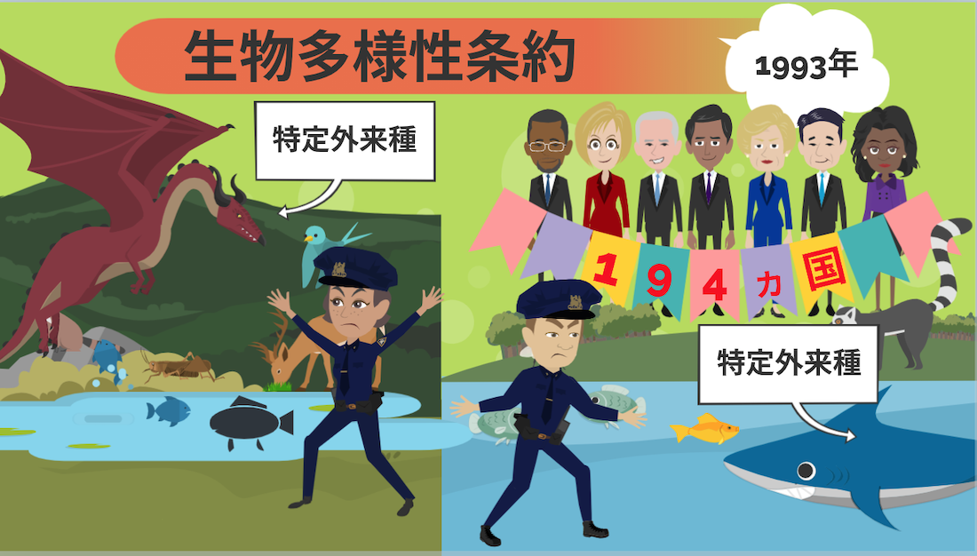 貿易における環境保護条約について ｜貿易コラム｜株式会社HPS CONNECT