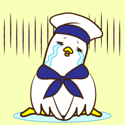 カモメ先輩ショック